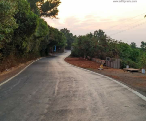 Read more about the article A fun trip to Mahabaleshwar