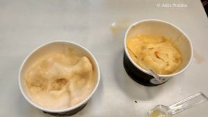 Muskmelon and Mango