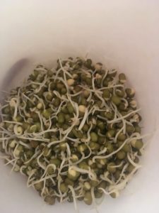 sprouts