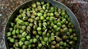 sprouting