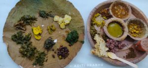 Wild food fest