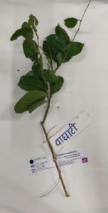 vagati
