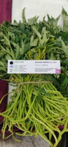 wild food fest