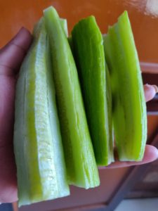 snake cucumber