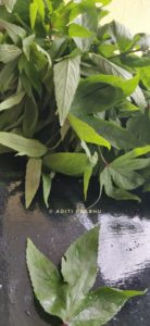 Gongura Gongura/ Ambadi