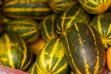 Madras Cucumber