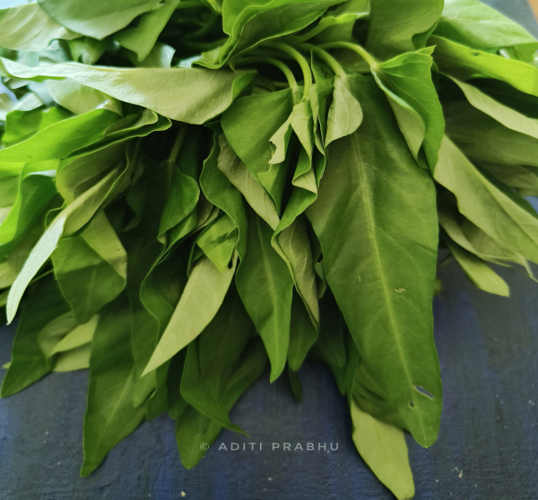 water spinach