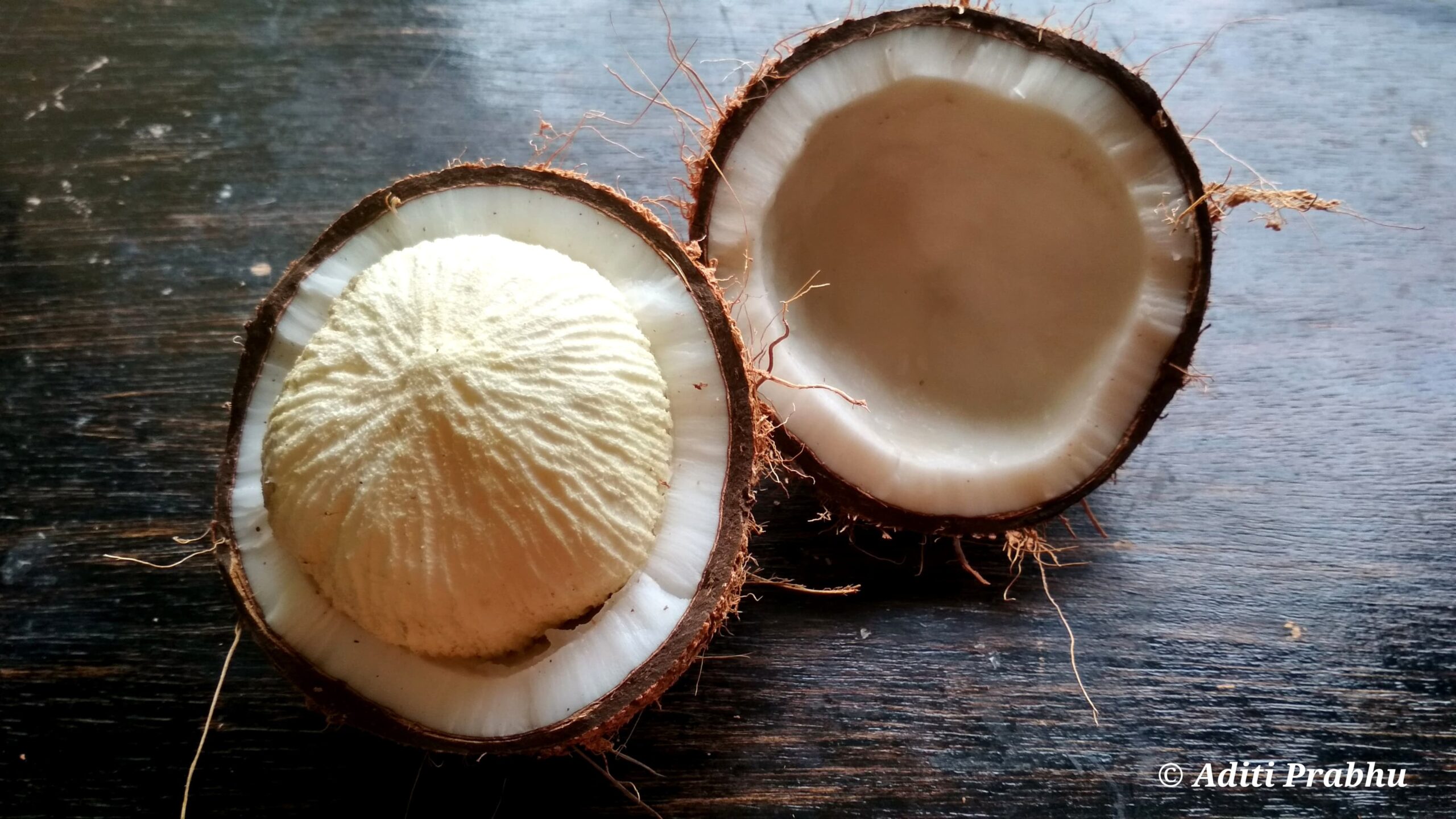 coconut sprouts